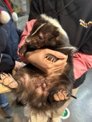 点击看大图 -Zoolung Zoolung动物主题公园(海信广场店)