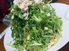 凉拌苦菊-小暖厨·长沙菜(孟州店)