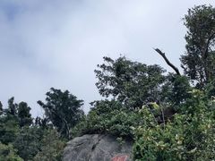 -海南铜鼓岭景区