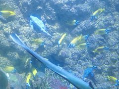 -海合安青岛极地海洋公园