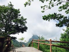-秦岭天竺山景区