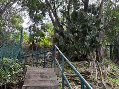 -香港大学