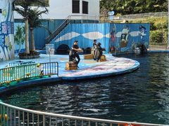 -深圳野生动物园