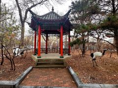 -哈尔滨极乐寺