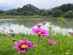 -古堰画乡景区