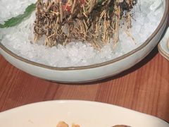 -稻前Taoki(方圆荟店)