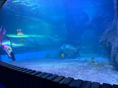 -左海海底世界