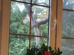 -天正河鲀·河豚亭(大连店)