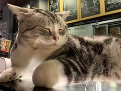 -咖法森林·咖啡  酒吧(天河店)