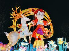 -武汉园博园(武汉自然博物馆)