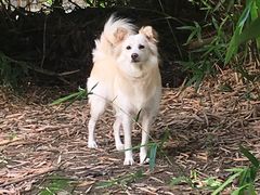 -沪东工人文化宫