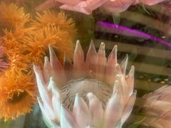 -L.C FLORA花予你(城西银泰城店)