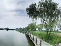 -野鸭湖国家湿地公园