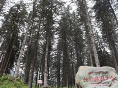 -硗碛藏寨·神木垒景区