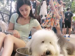 -TrueLove @ Neverland (Husky Cafe)