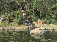 -大连天门山国家森林公园