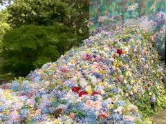 -上海共青森林公园