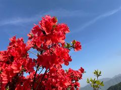 -瑞安圣井山景区