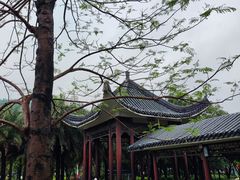 -飞来湖湿地公园