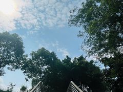 -大渡口区义渡公园