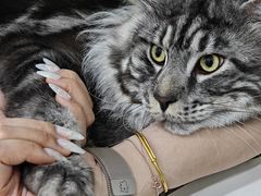 -爱洗澡的猫(天河路店)