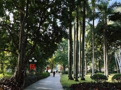 -荔枝公园(福田区)