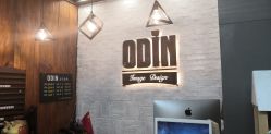 -ODIN 奥丁形象设计 