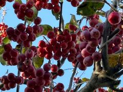 -春晖园度假酒店温泉