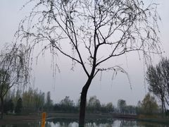 -东郊湿地公园