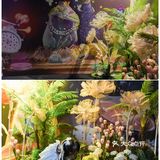 厦门亲子游|奇梦爱丽丝之重回仙境（福建首展）