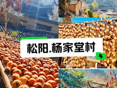 -杨家堂村
