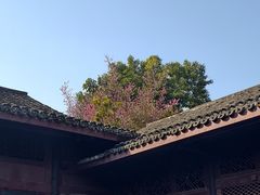 -安仁古镇