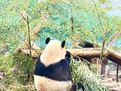 -杭州动物园