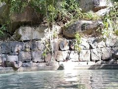 -荷花温泉