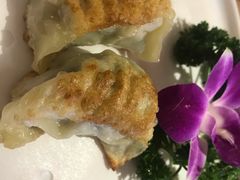 煎饺-尚海豆捞(乐虹坊店)