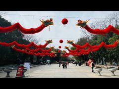 -东方绿舟景区