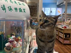 -猫的天空之城概念书店(杭州南宋御街店)