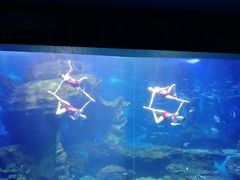 -多彩贵州城极地海洋世界