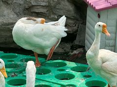 -团结湖公园