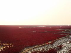 -红海滩国家风景廊道