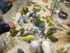 -三旗百汇商品城