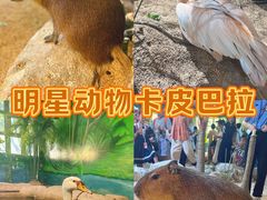 -海合安武汉极地海洋公园