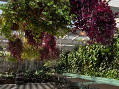 -The Grounds of Alexandria