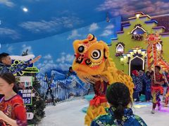 -世界之窗阿尔卑斯冰雪世界
