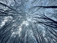 -中旅松花湖滑雪场