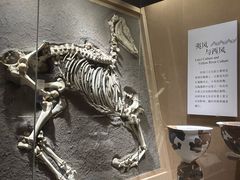 -烟台市博物馆