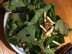 云海肴·云南菜(伊势丹店)-云海肴·汽锅鸡·云南菜(天津国金汇店)