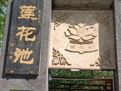 -莲花池公园