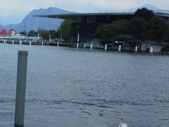 iphone_upload_pic-卢塞恩湖