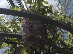 -云晓光头烧烤吧(盛夏店)